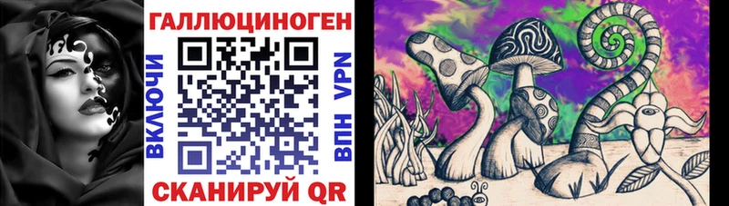 Псилоцибиновые грибы GOLDEN TEACHER наркота Петровск